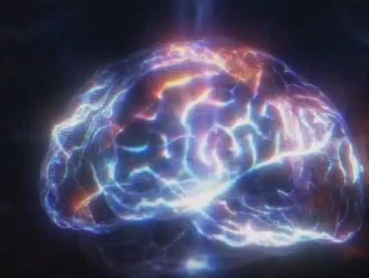 Brain & System Bio Hack Session